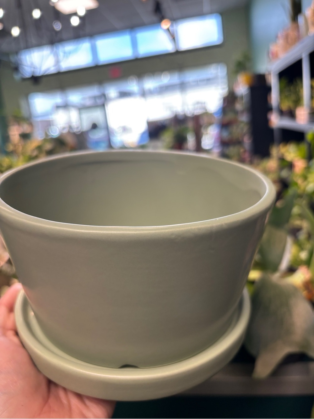 Ceramic Plant Pot in Sage Green